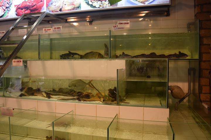 Hồ hải sản tại nhà hàng hải sản Hương Lúa