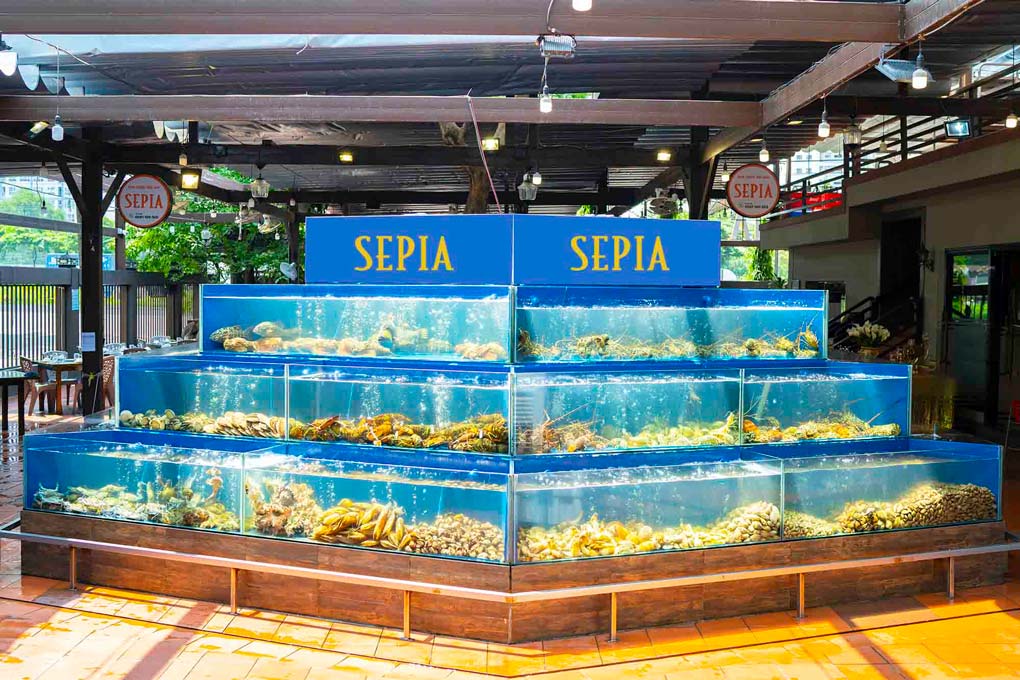 Hồ cá nước mặn tại nhà hàng hải sản Sepia