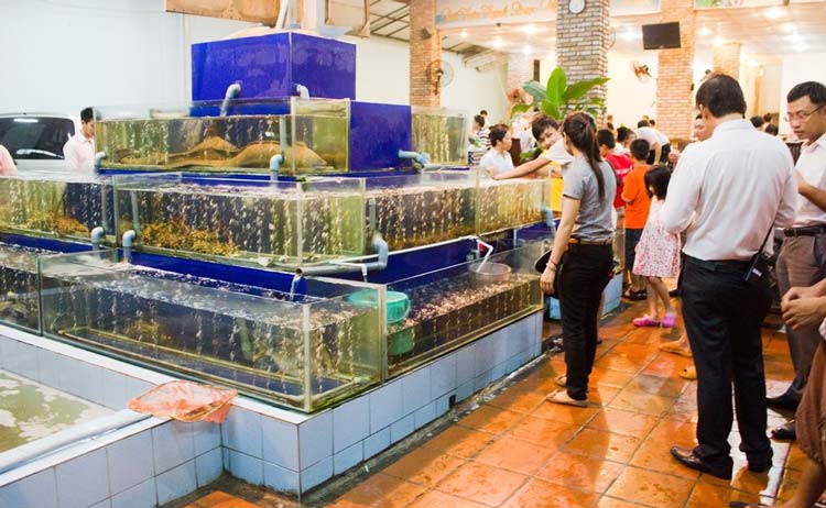Hồ cá 3 tầng nước mặn tại nhà hàng hải sản Rạn Biển